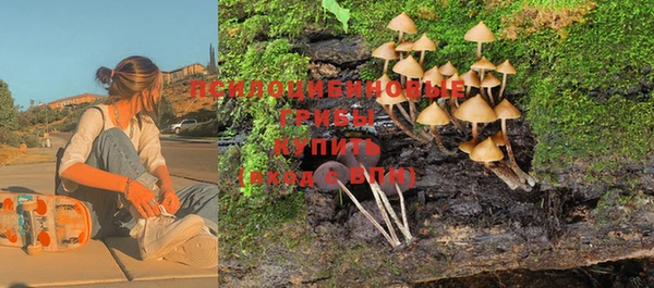 не бодяженный Кукмор